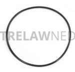 Trelawny Guide Plate o-ring